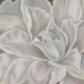 Camellia Painting by Tammy Pool Camellia Painting by Tammy Pool