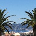Cannes du Montfleury Photograph by Medge Jaspan Cannes du Montfleury Photograph by Medge Jaspan