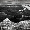 Canyon Graphic by Art Cole