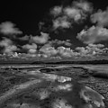 Cape Cod Marches Black and White Landscape by Darius Aniunas