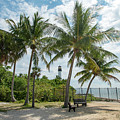 Cape Florida Lighthouse and Palm Trees on Key Biscayne Photograph by Beachtown Views Cape Florida Lighthouse and Palm Trees on Key Biscayne Photograph by Beachtown Views