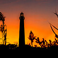 Cape May Lighthouse Silhouette  by Nick Zelinsky Jr