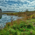 Cape Porpoise Fish House Photograph by Penny Polakoff Cape Porpoise Fish House Photograph by Penny Polakoff