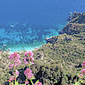 Capri, sea and flowers Photograph by Yvonne Jasinski Capri, sea and flowers Photograph by Yvonne Jasinski
