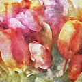 Captured Spring Painting by Susan Maxwell Schmidt Captured Spring Painting by Susan Maxwell Schmidt