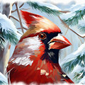 Cardinal by Pennie McCracken