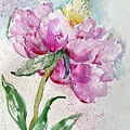 Carmine Peonie by Mafalda Cento