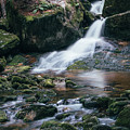 Huge treasures are hidden in the European wilderness. Photograph by Vaclav Sonnek Huge treasures are hidden in the European wilderness. Photograph by Vaclav Sonnek