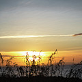 Cascais Sunrise Coast by Portia Olaughlin