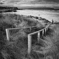 Castlerock Beach Photograph by Nigel R Bell Castlerock Beach Photograph by Nigel R Bell