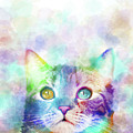 Cat 663 multicolor cat by artist Lucie Dumas Digital Art by Lucie Dumas Cat 663 multicolor cat by artist Lucie Dumas Digital Art by Lucie Dumas