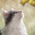 Cat 669 Digital Art by Lucie Dumas Cat 669 Digital Art by Lucie Dumas