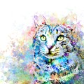 Cat 674 Digital Art by Lucie Dumas Cat 674 Digital Art by Lucie Dumas