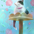 Cat Cafe by Shari Warren