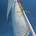 Catamaran by Melissa Southern