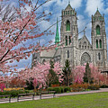 Cathedral Basilica of the Sacred Heart by Anthony Sacco