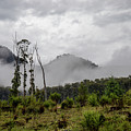 Cathedral Ranges Photograph by Vicki Walsh Cathedral Ranges Photograph by Vicki Walsh