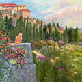 Cat's Eye View, Tuscany by Karen Zuk Rosenblatt