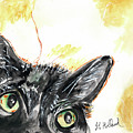 Catseyes by Genevieve Holland