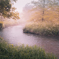 Cedar Creek Park - Misty River by Jason Fink