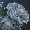 Celebrate Life Pastel by Juliette Becker Celebrate Life Pastel by Juliette Becker