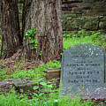 Cemetery - Brown Park - St Matthews - Kentucky by Gary Whitton