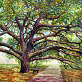Century Tree 2 Painting by Hailey E Herrera Century Tree 2 Painting by Hailey E Herrera