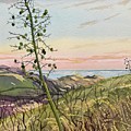 Chaperal Yucca Painting by Luisa Millicent Chaperal Yucca Painting by Luisa Millicent