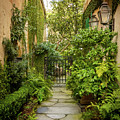 Charleston Garden Walkway - View 7 by Sturgeon Photography