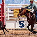 Chasing a steer Photograph by Kelly Markus