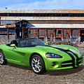 Chattanooga Viper by Ron Long