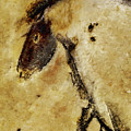 Chauvet Horse Digital Art by Weston Westmoreland Chauvet Horse Digital Art by Weston Westmoreland