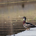 Checking Me Out by Jayne Carney