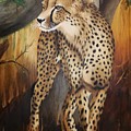 Cheetah by Nellie Visser Cheetah by Nellie Visser
