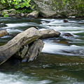 Cheoah River Rapids Photograph by Phil Perkins Cheoah River Rapids Photograph by Phil Perkins