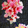 Cherry Blossom Dawn Digital Art by Rod Whyte Cherry Blossom Dawn Digital Art by Rod Whyte
