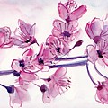 Cherry Flowers Painting by George Cret Cherry Flowers Painting by George Cret
