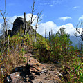 Chimney Tops 19 Photograph by Phil Perkins Chimney Tops 19 Photograph by Phil Perkins