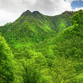 Chimney Tops Spring Light Smoky Mountains by Dan Sproul