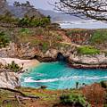 China Cove at Point Lobos Photograph by Charlene Mitchell China Cove at Point Lobos Photograph by Charlene Mitchell