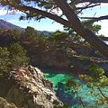 China Cove trail Point Lobos Photograph by Luisa Millicent China Cove trail Point Lobos Photograph by Luisa Millicent