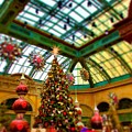 Christmas Candy  by Rodney Lee Williams