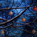 Christmas Dusk Mixed Media by Moira Law Christmas Dusk Mixed Media by Moira Law