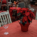 Christmas Possibilities  by Joseph Desiderio