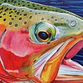 Chromatic Catch by Mark Ray