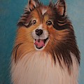 Bodee by Chris Naggy Bodee by Chris Naggy