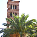 Church Palm Photograph by Heather E Harman Church Palm Photograph by Heather E Harman