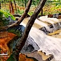 Cindys' Waterfall Painting by Ann Frederick Cindys' Waterfall Painting by Ann Frederick