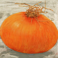Cipolla Bionda by Guido Borelli