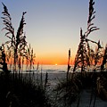 Classic Florida Sunset by Donald Sawin